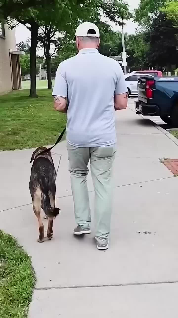 @Miracle K9 Training