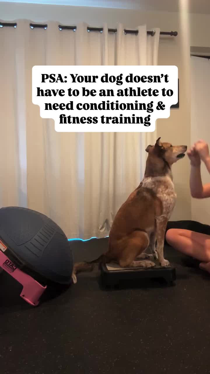 @Marissa | K9 Fitness Coach 🐾