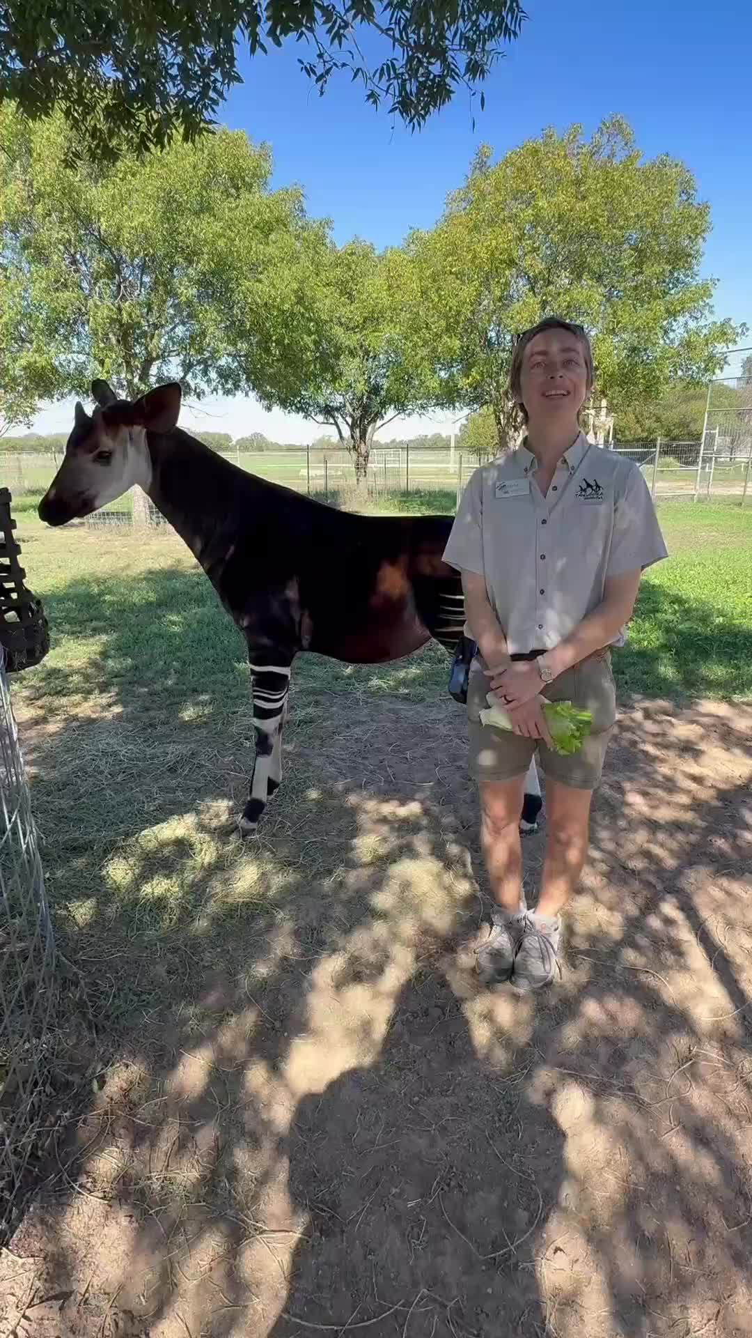 @TanganyikaWildlifePark