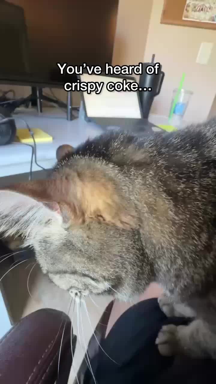 @Chip The Manx