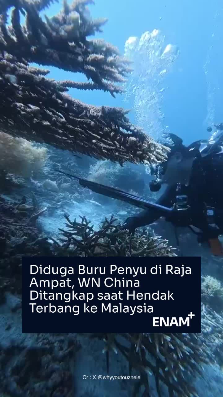 @Enam+