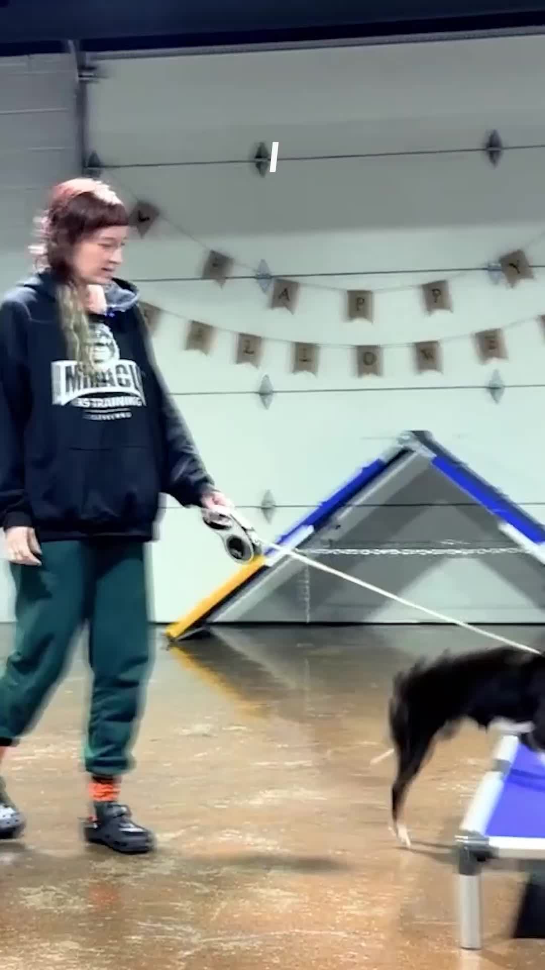 @Miracle K9 Training