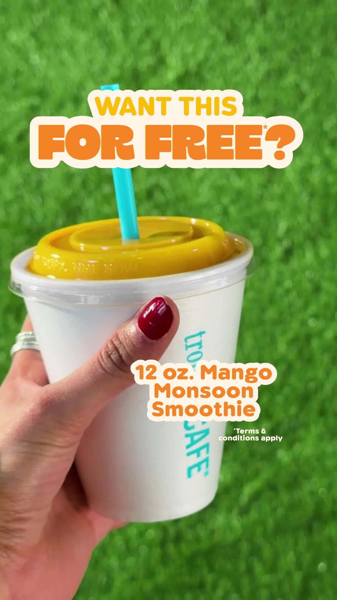 @Tropical Smoothie