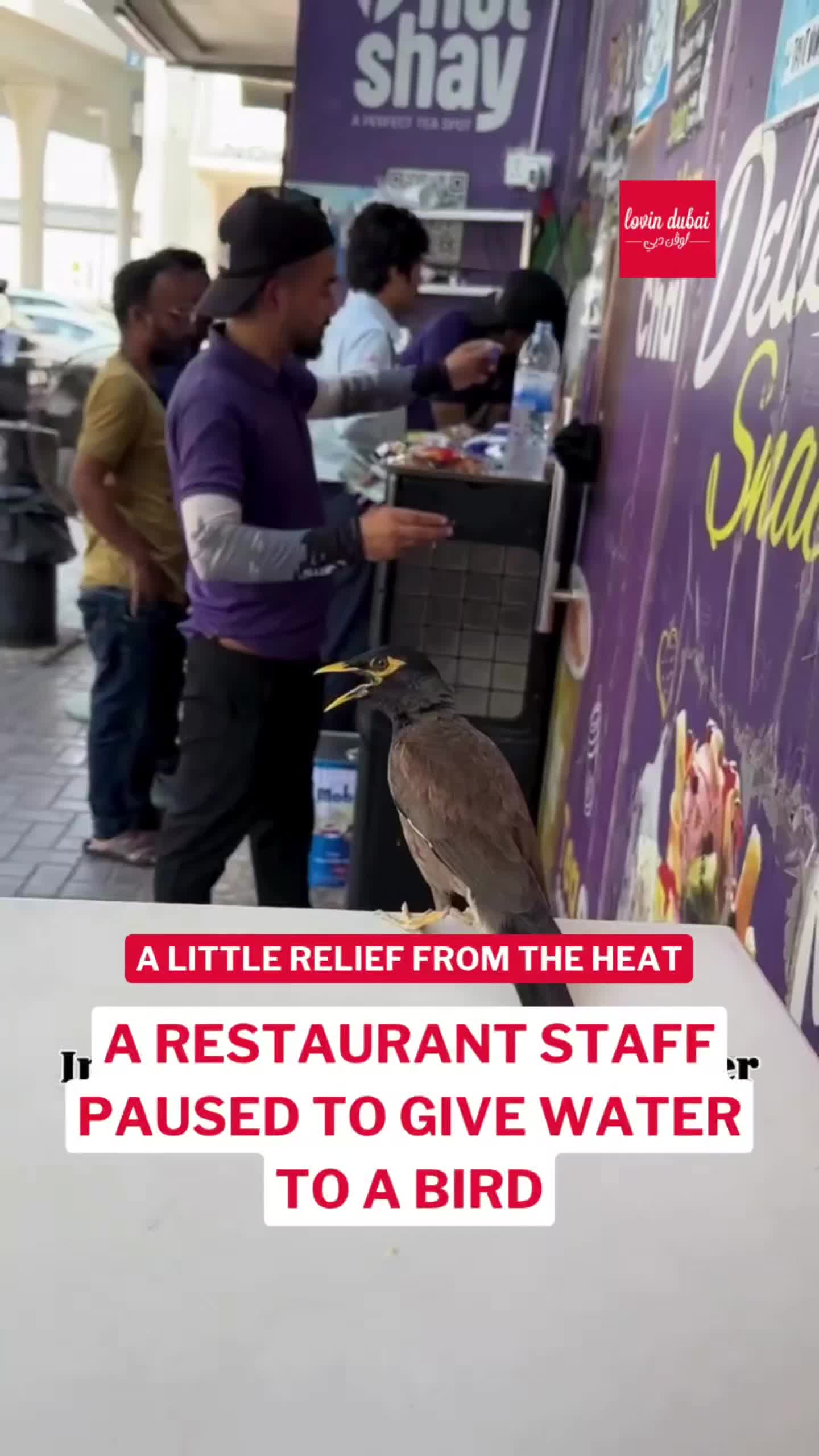 @Lovin Dubai | لوڤن دبي