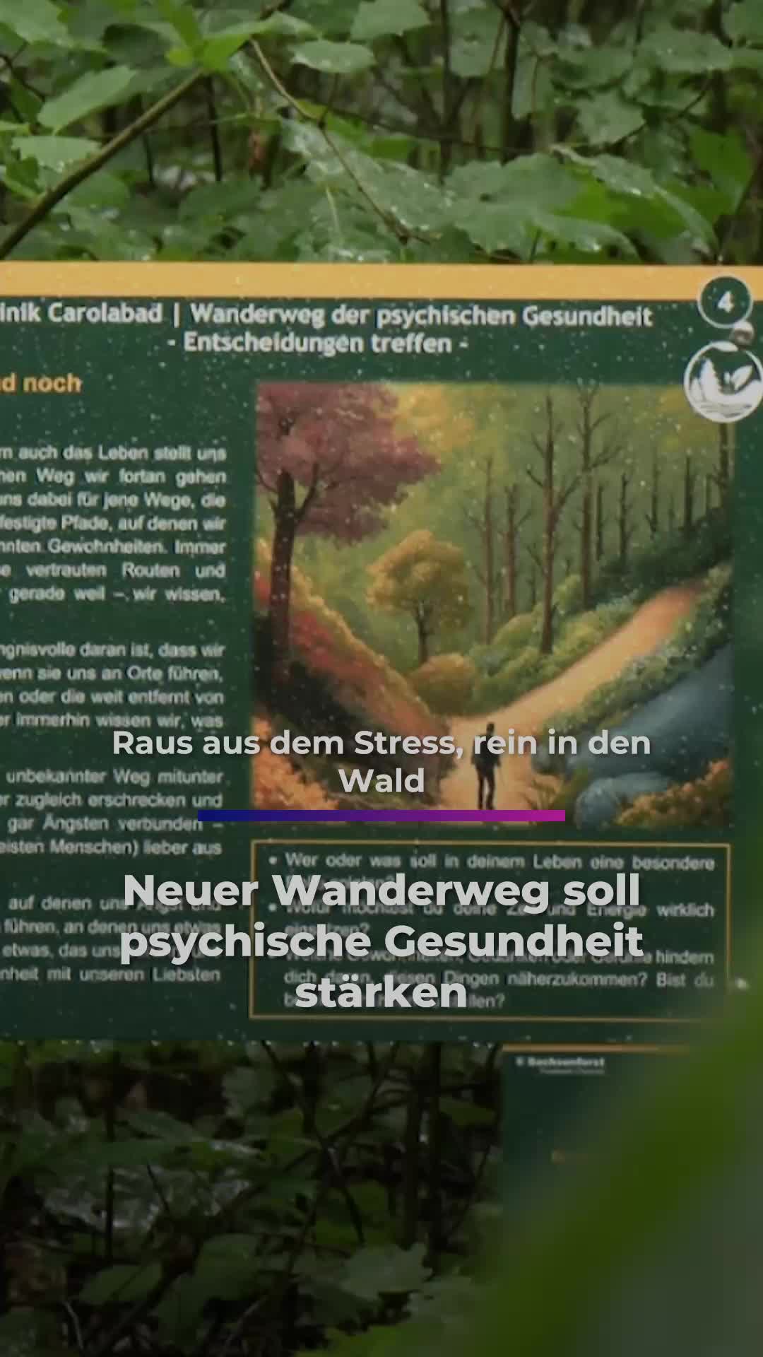 @Sachsen Fernsehen