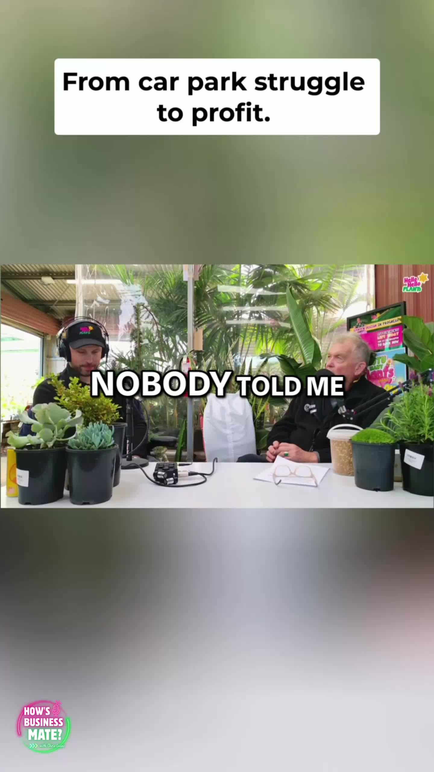 @Hello Hello Plants Nursery