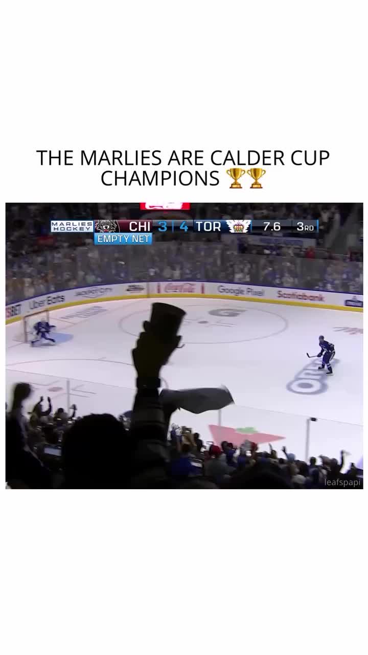 @leafspapi