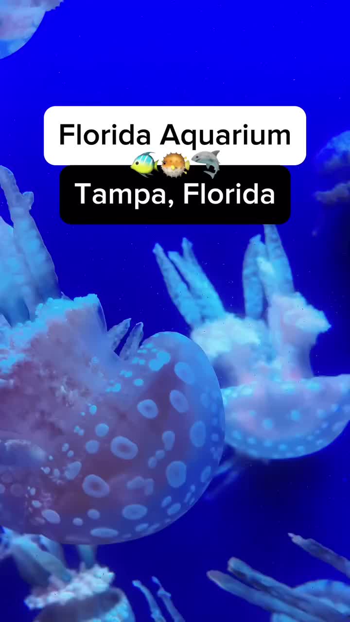 @thefloridaqueenie