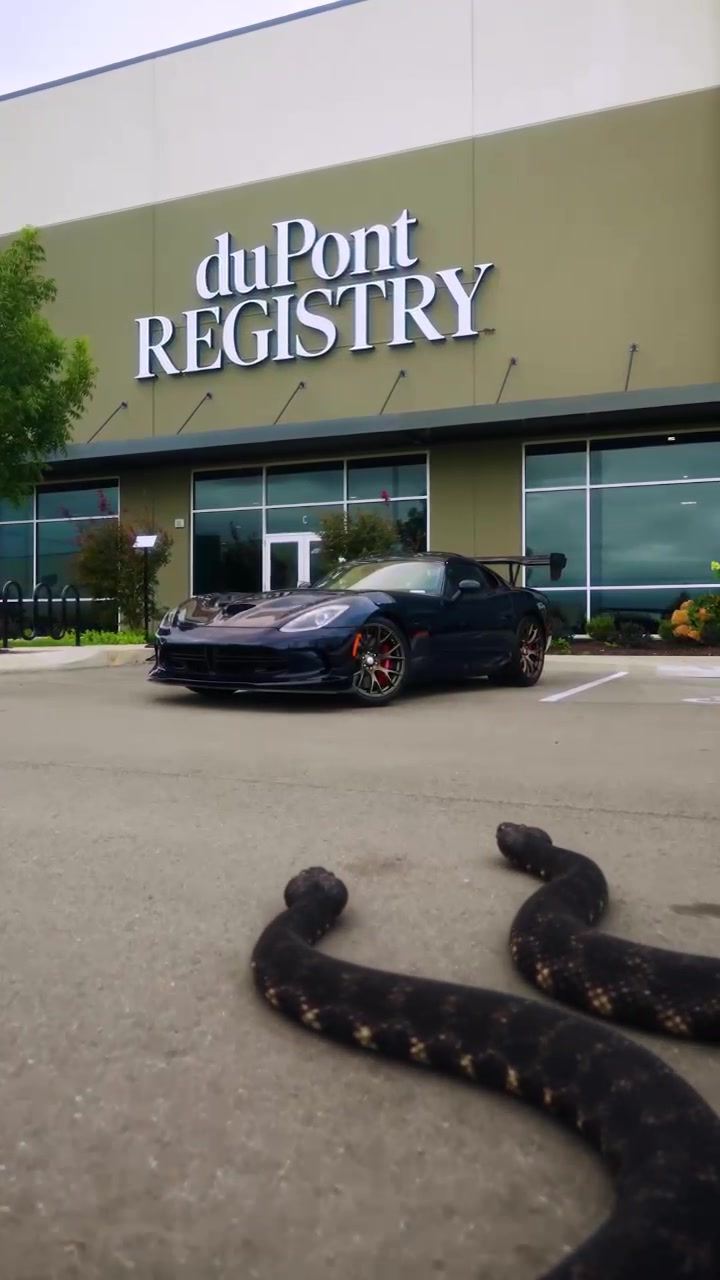 @duPont REGISTRY