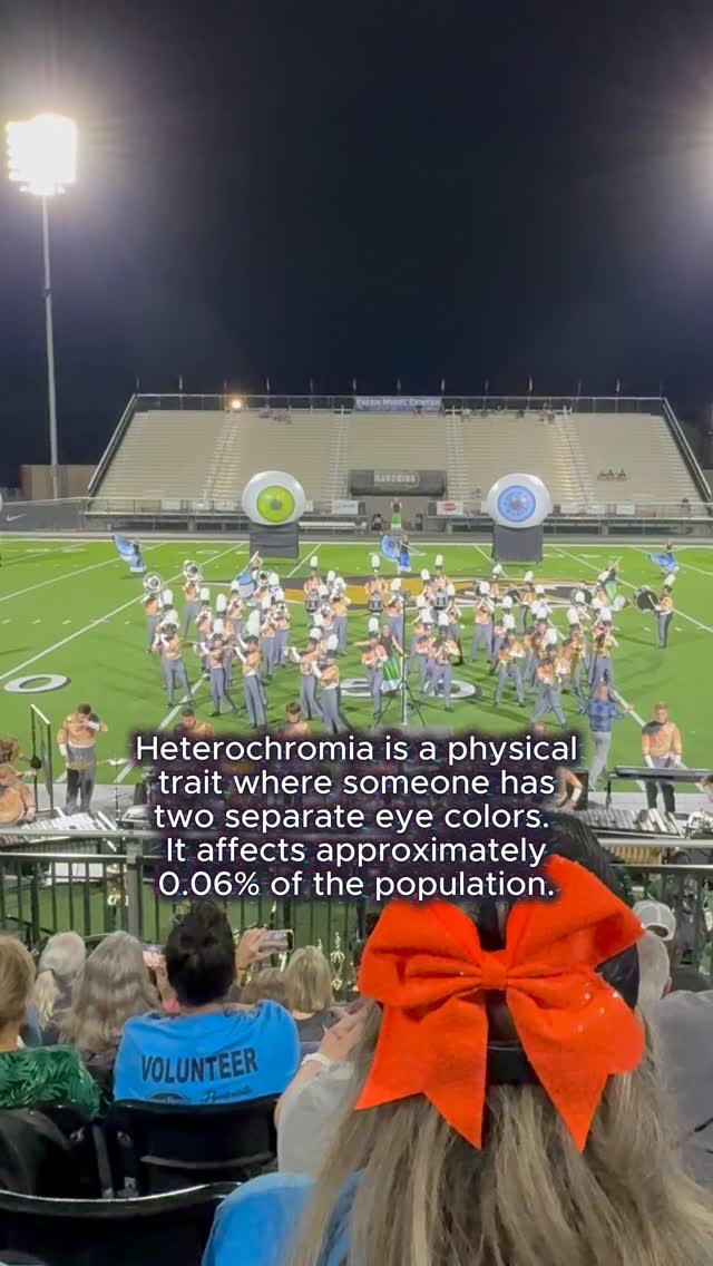 @thebandmom