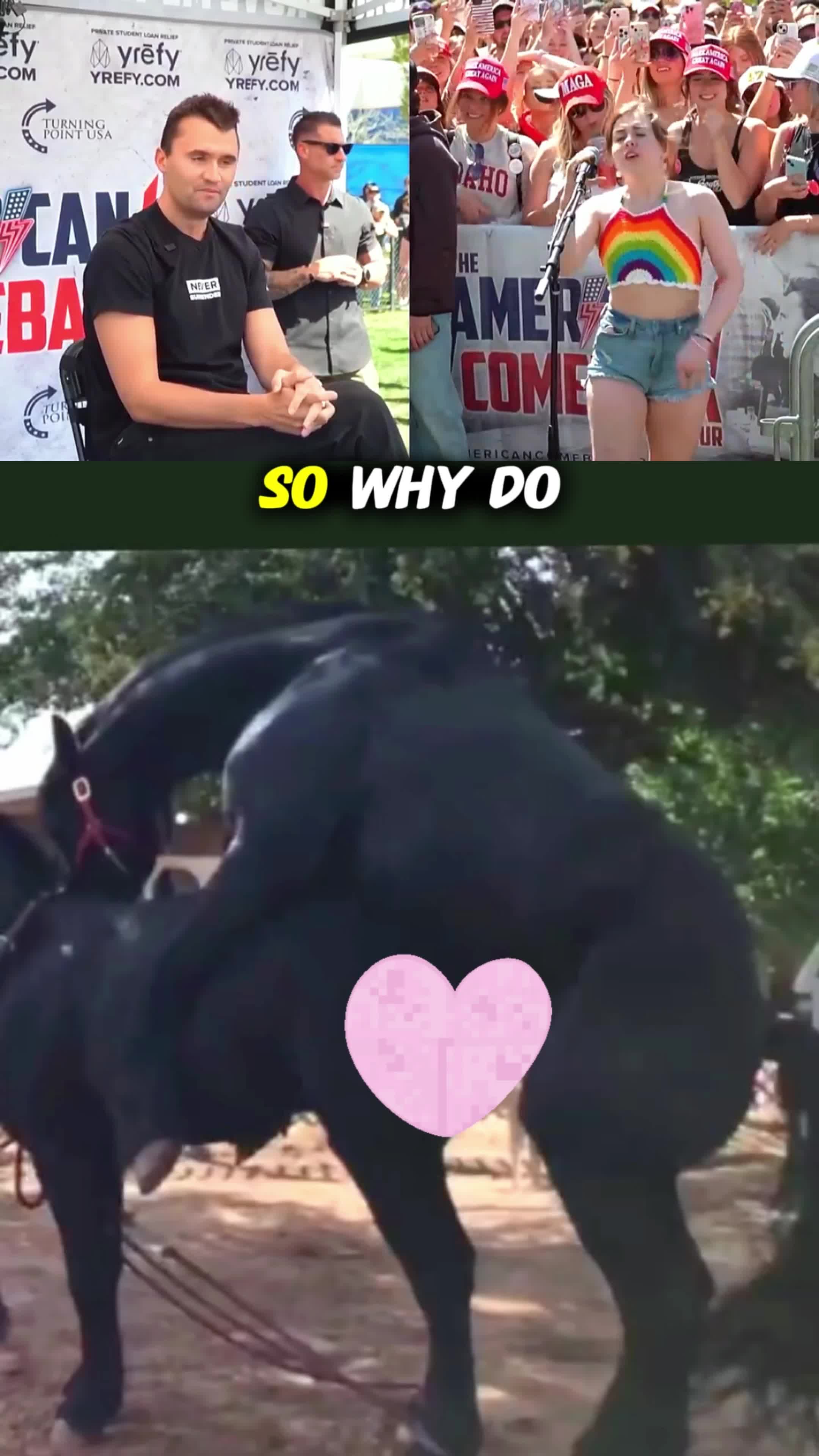 @horselife015