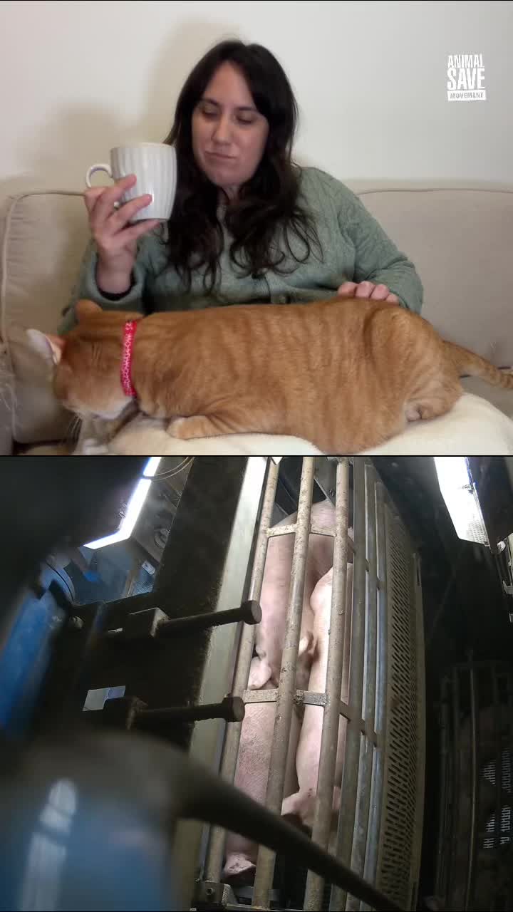 @Animal Save Movement