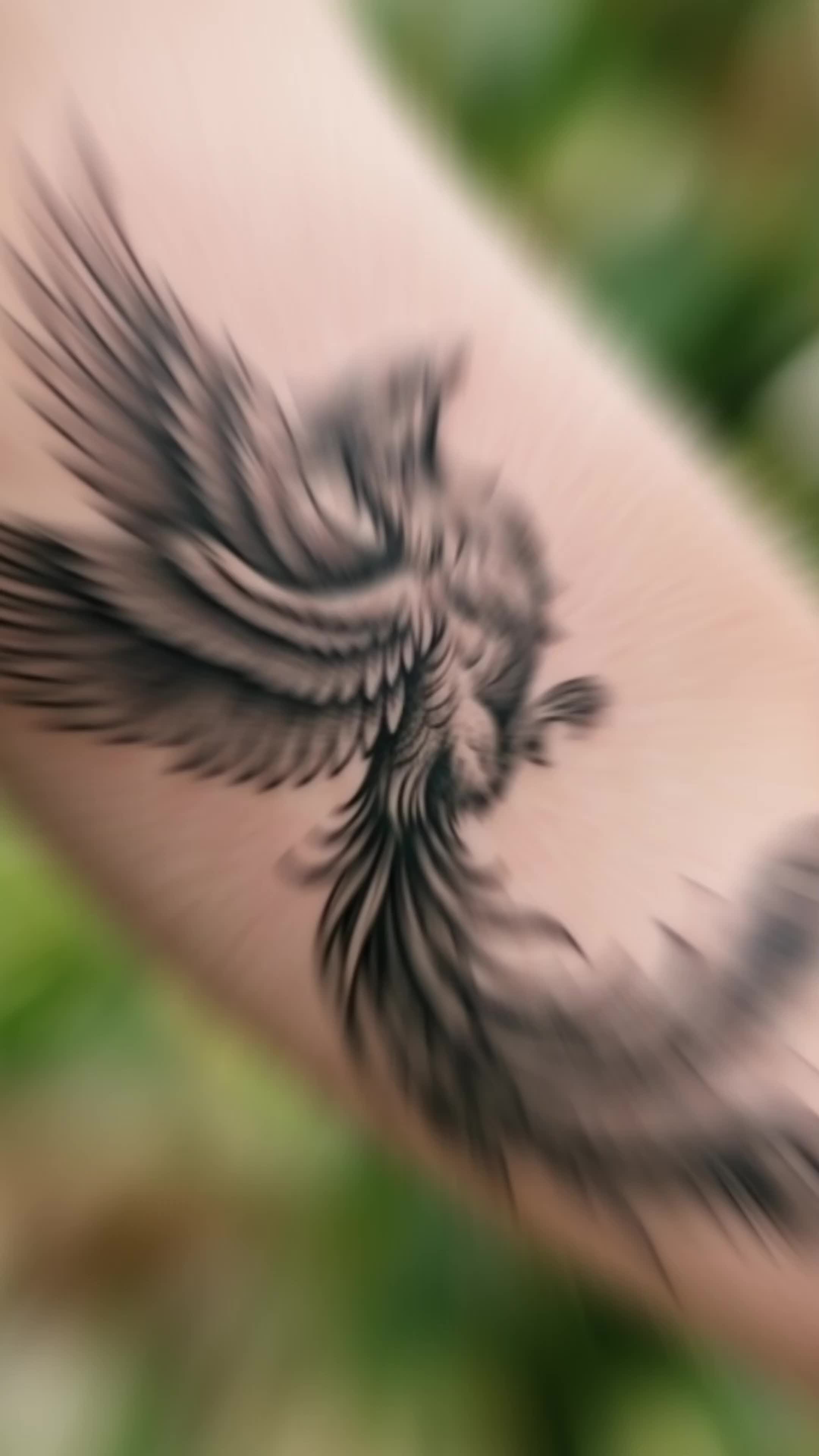 @horselife015