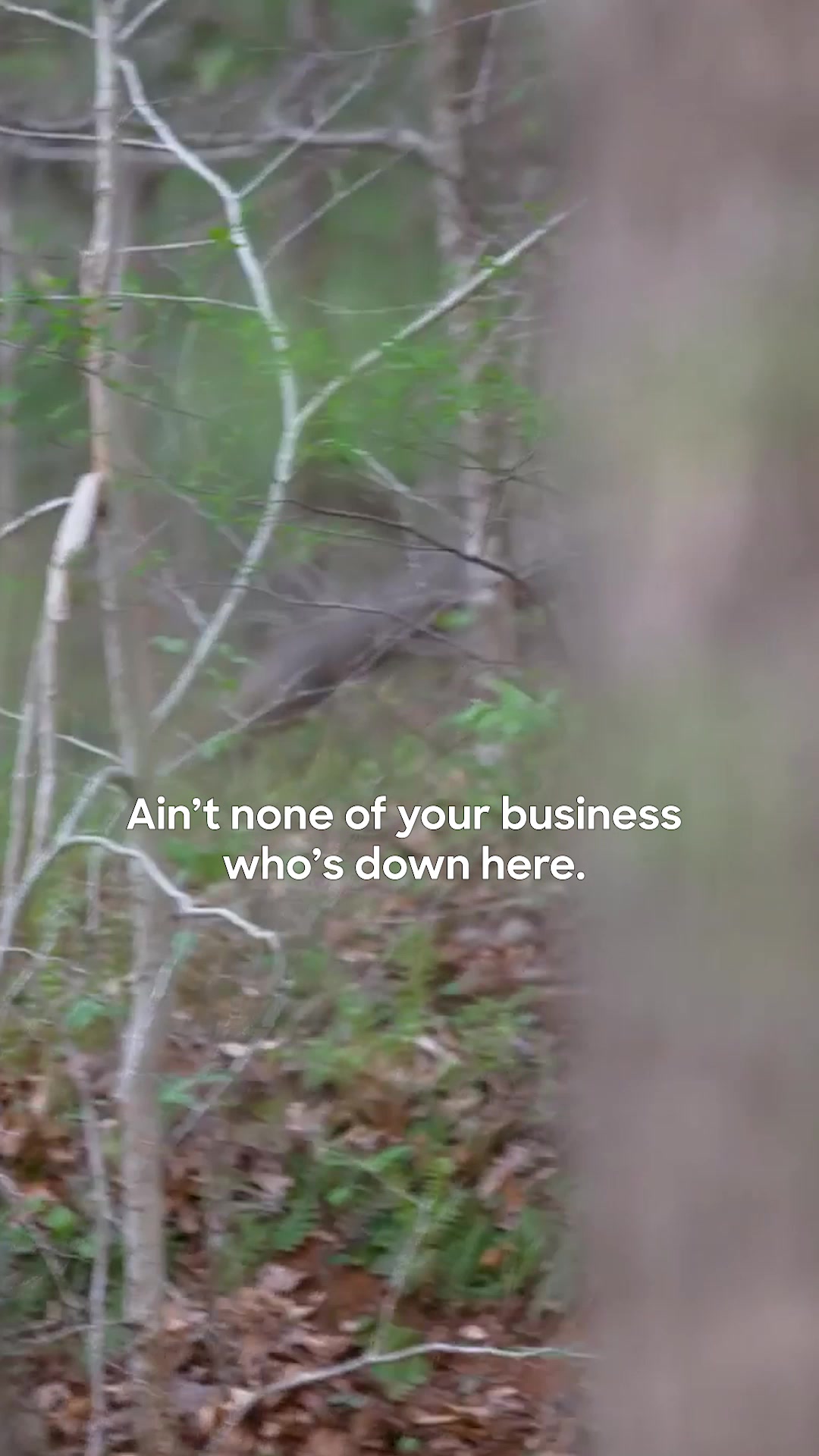 @Discovery