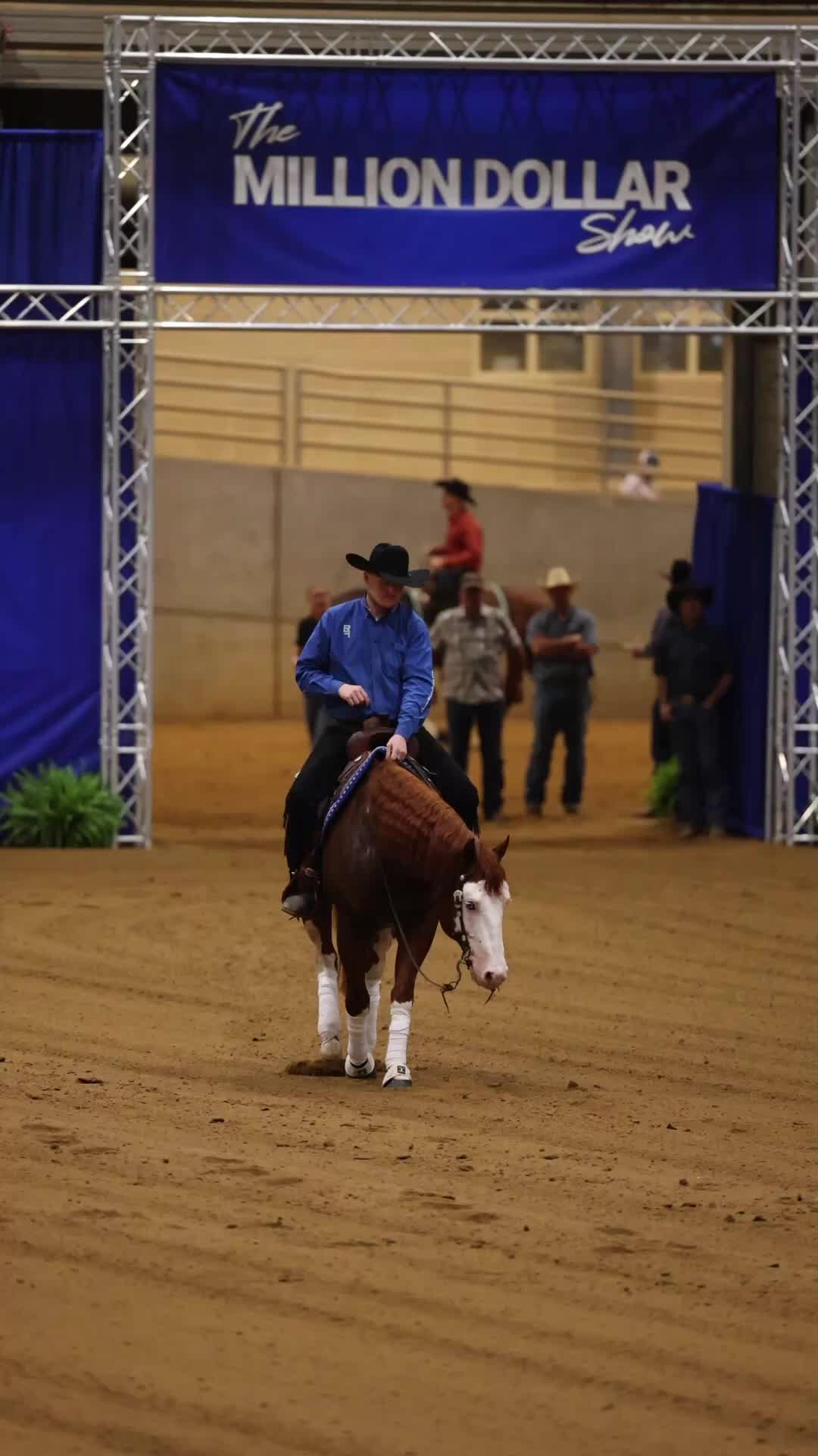 @Tom McCutcheon Reining Horses