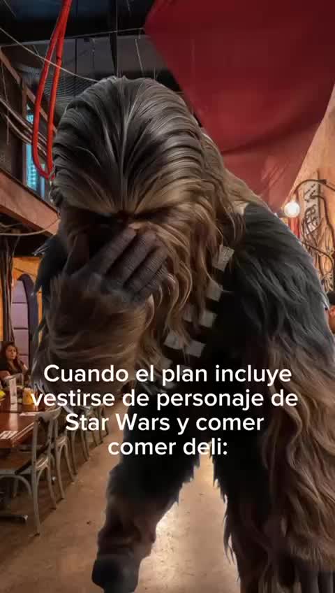@Skywalker&rsquo;s