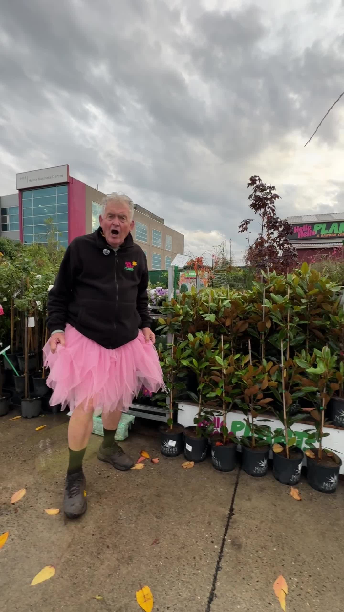 @Hello Hello Plants Nursery