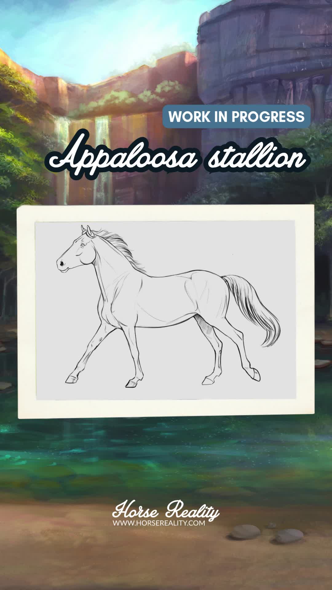 @Horse Reality