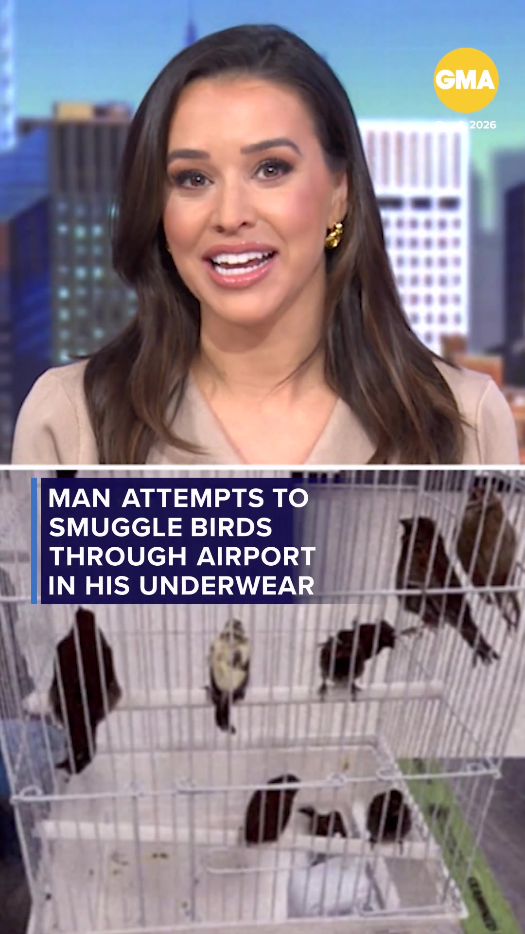 @Good Morning America