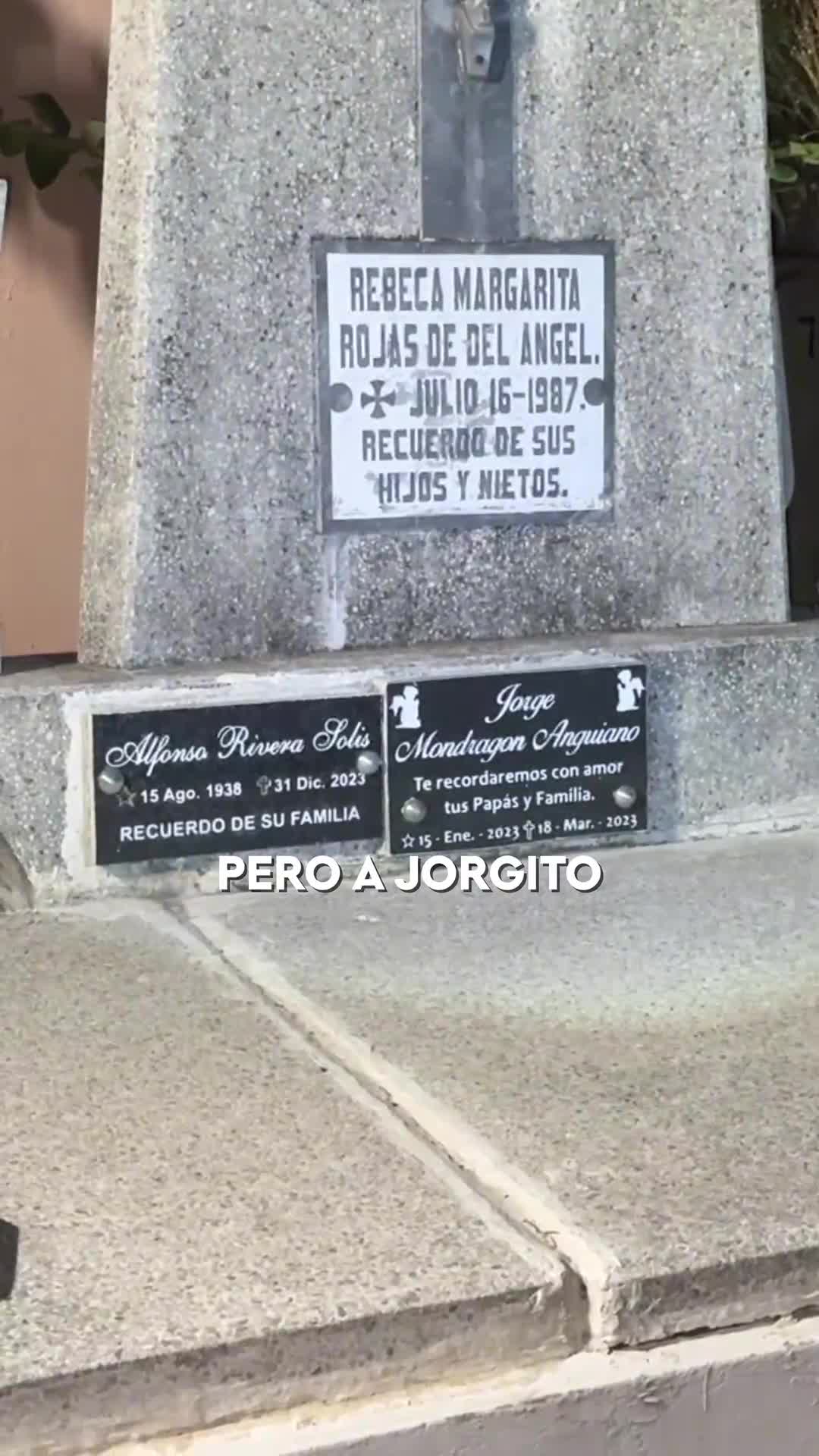 @Cellegrini