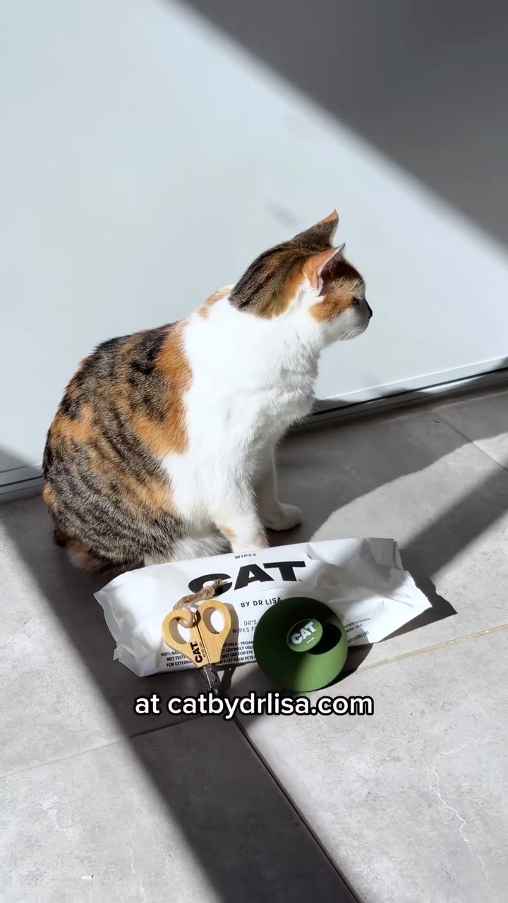 @CAT by Dr Lisa