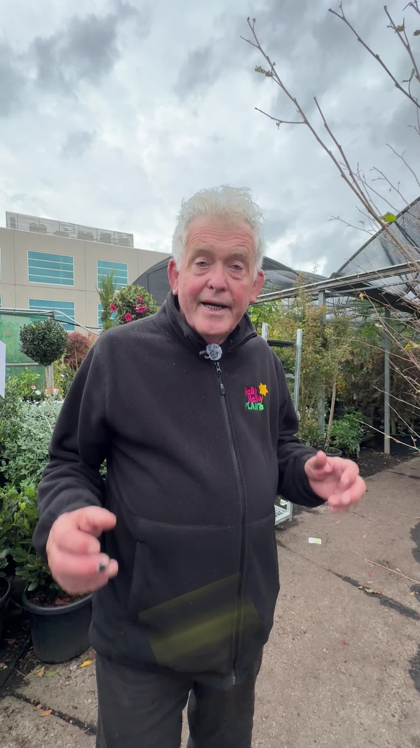 @Hello Hello Plants Nursery