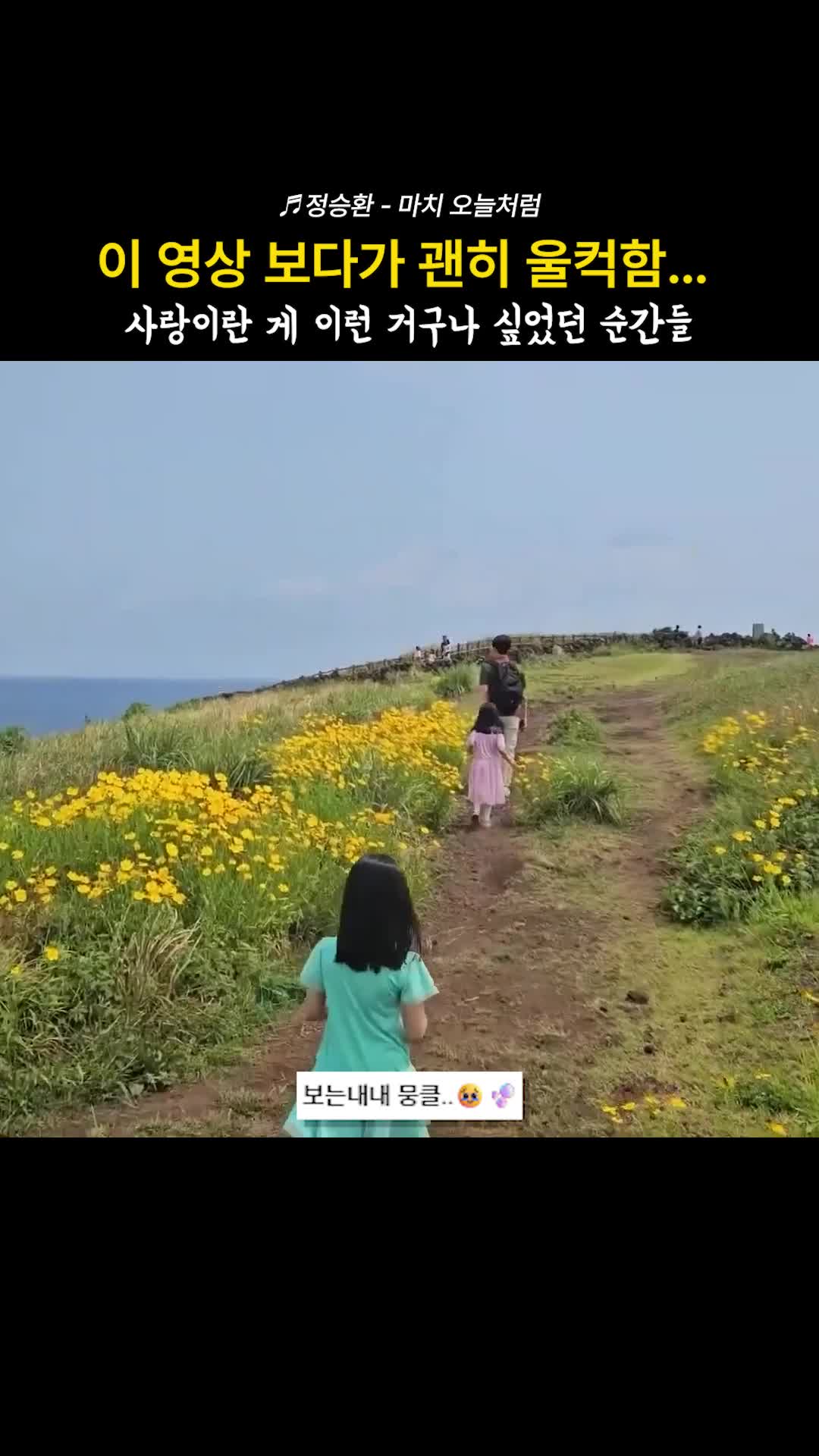 @연예인 저장소