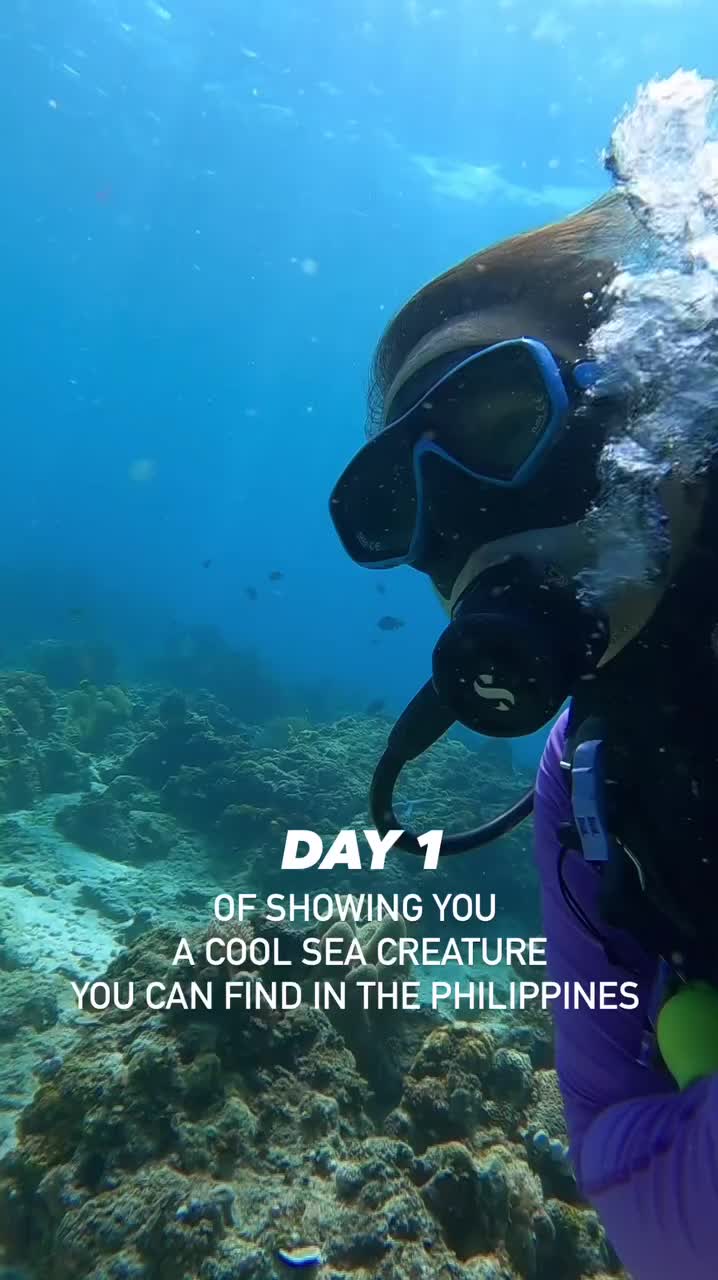 @Scuba Diving with Ara