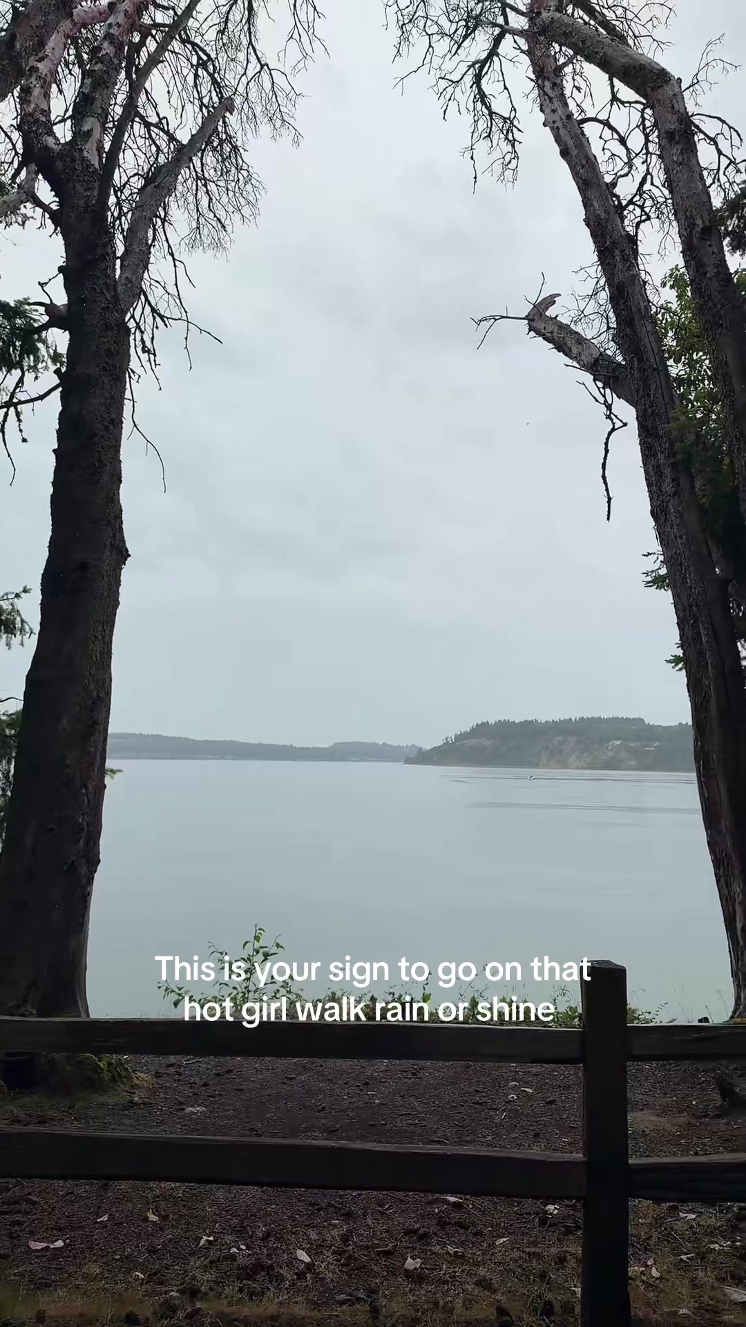 @Malea Daniels