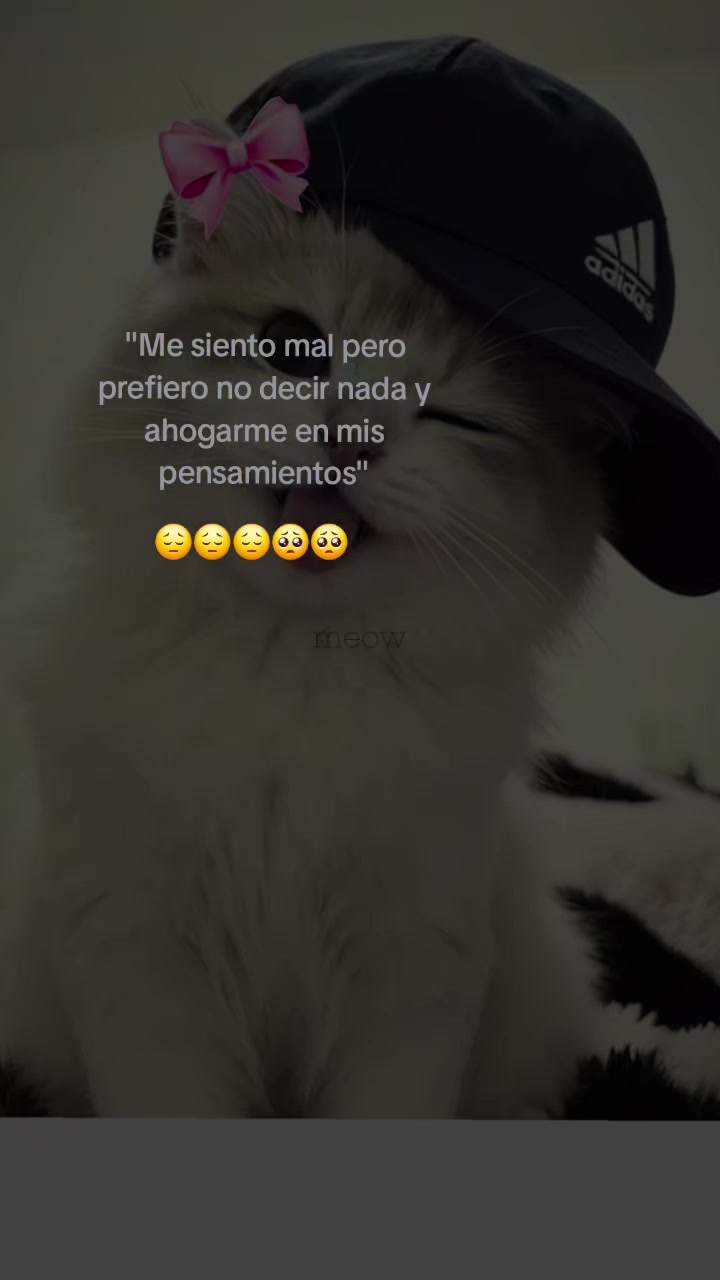 @Esmeralda 🥰😭🥹