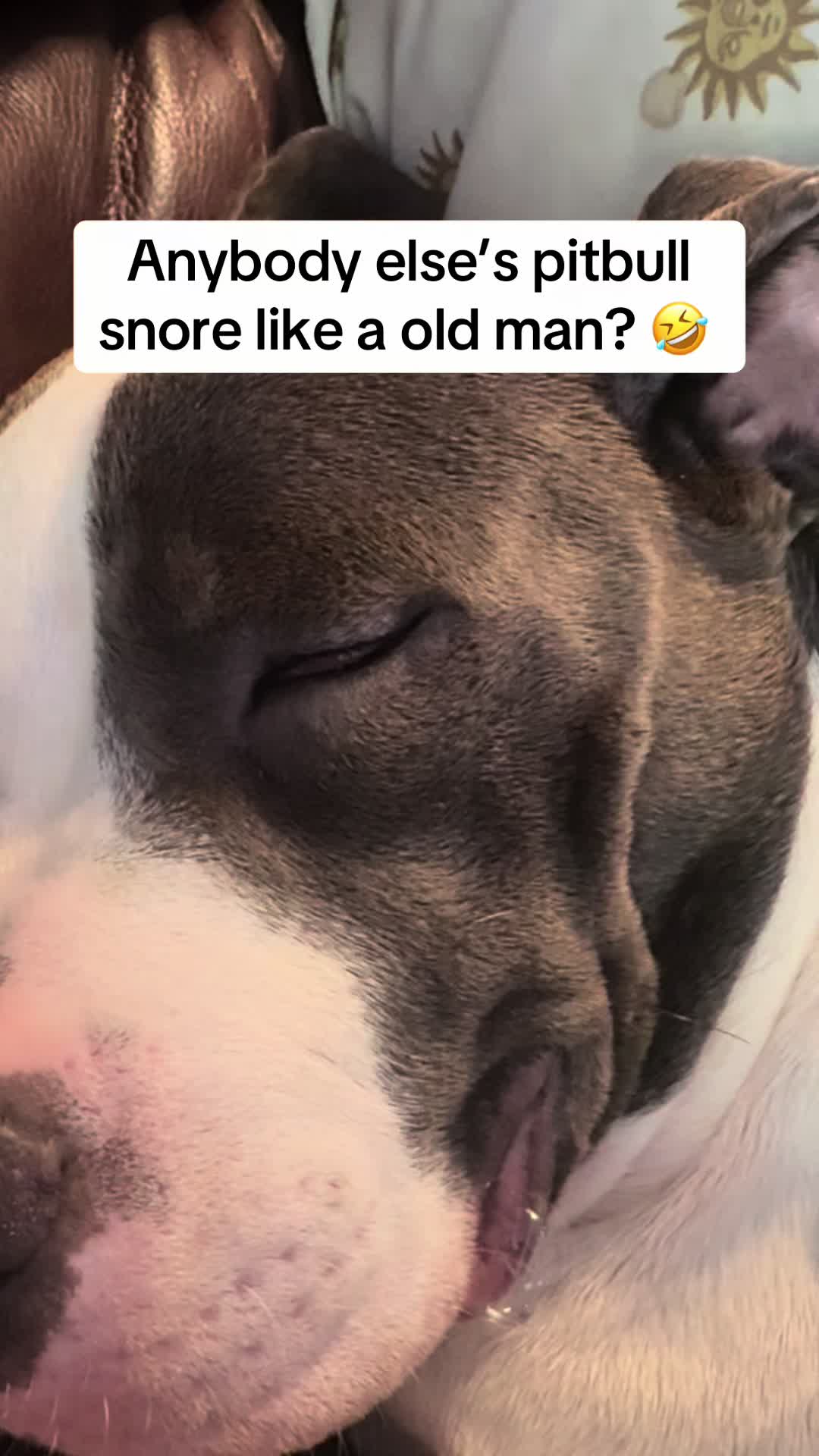 @1111