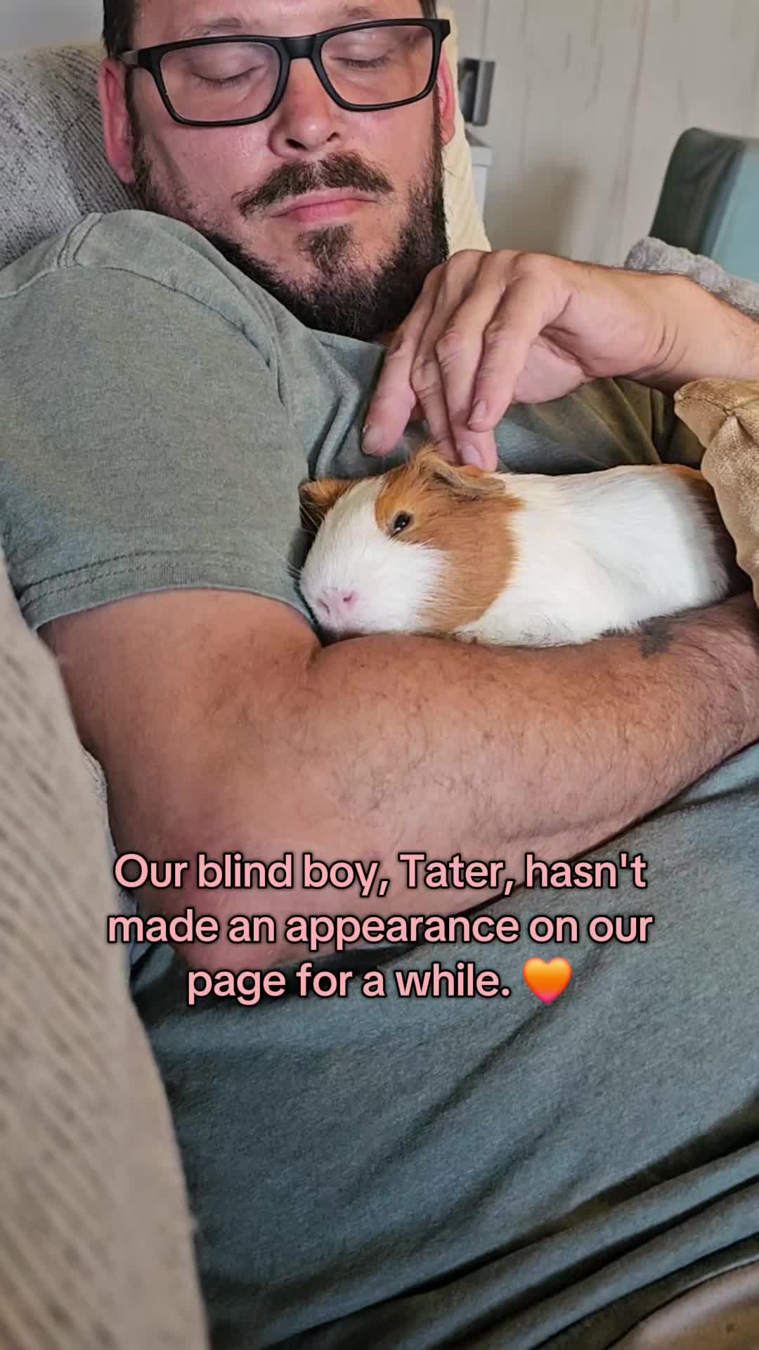 @♡GuineaPiggy♡