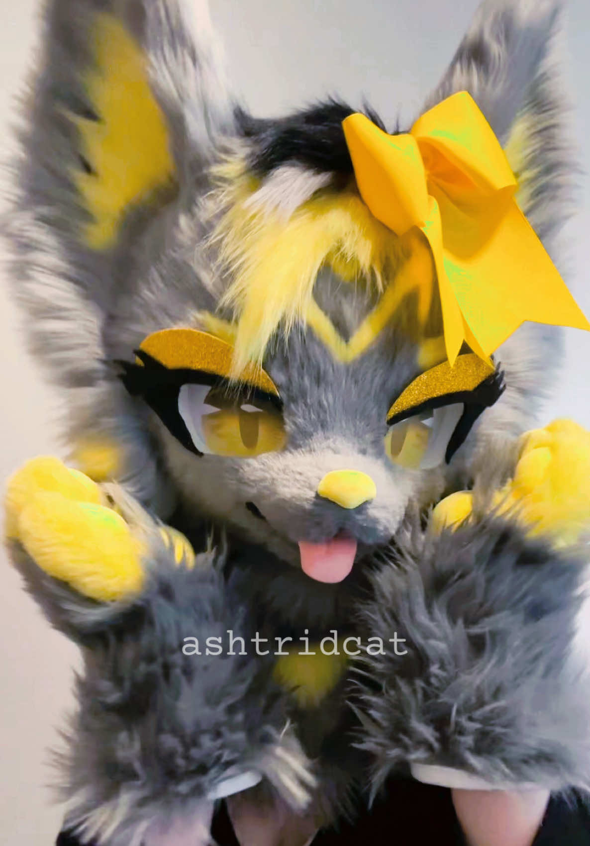 @AshtridCat
