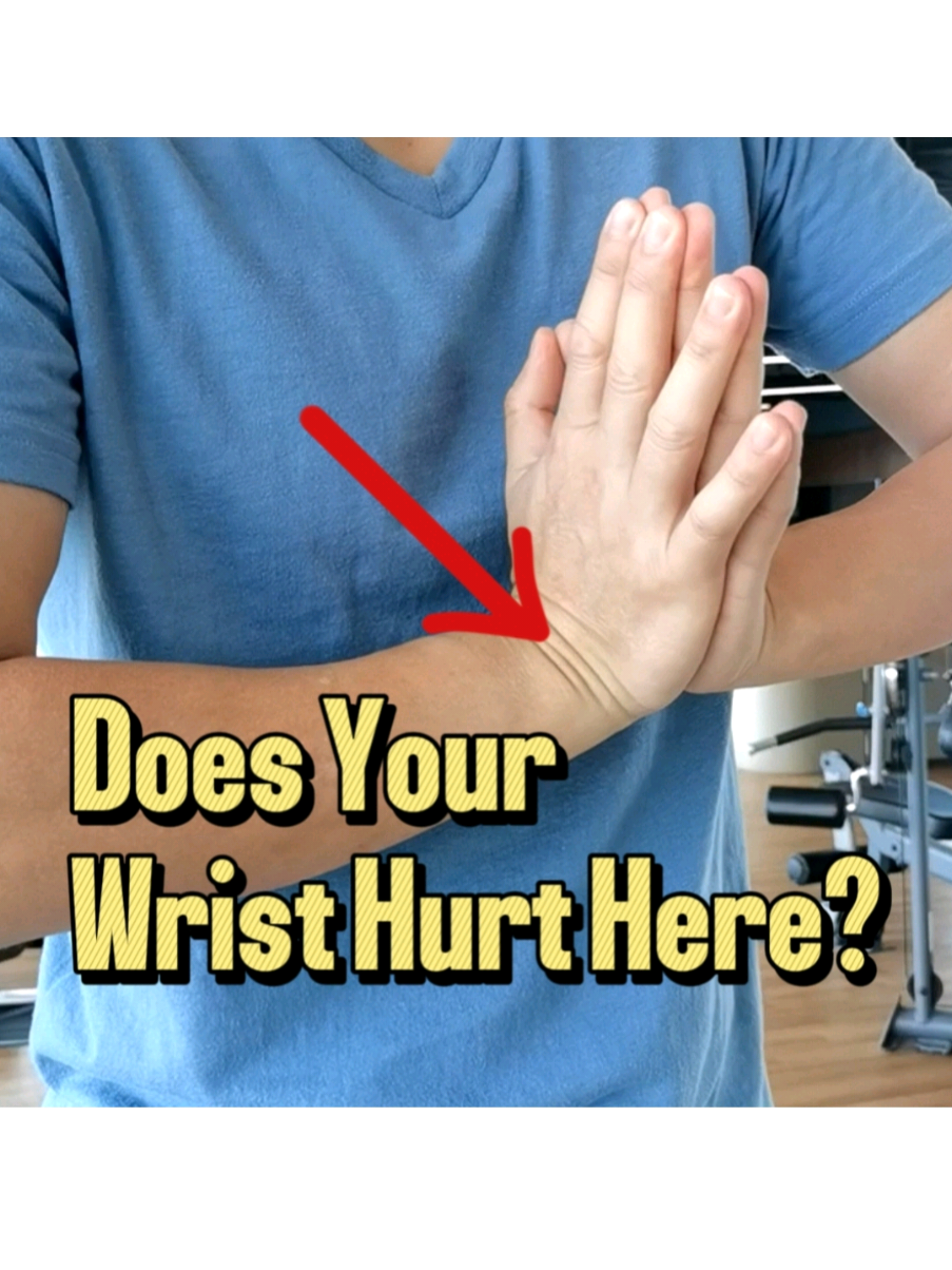 @PhysioBarn