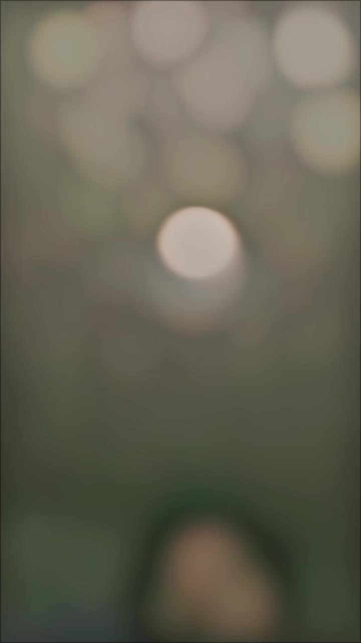 @[🥀Ṡ𝓪&reg;𝚒𝚏ɓ𝓪cիⱥ🥀]🔥