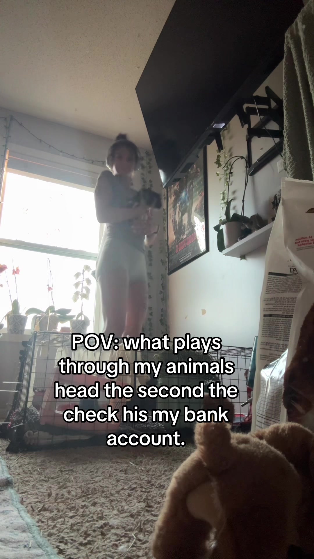 @Josie