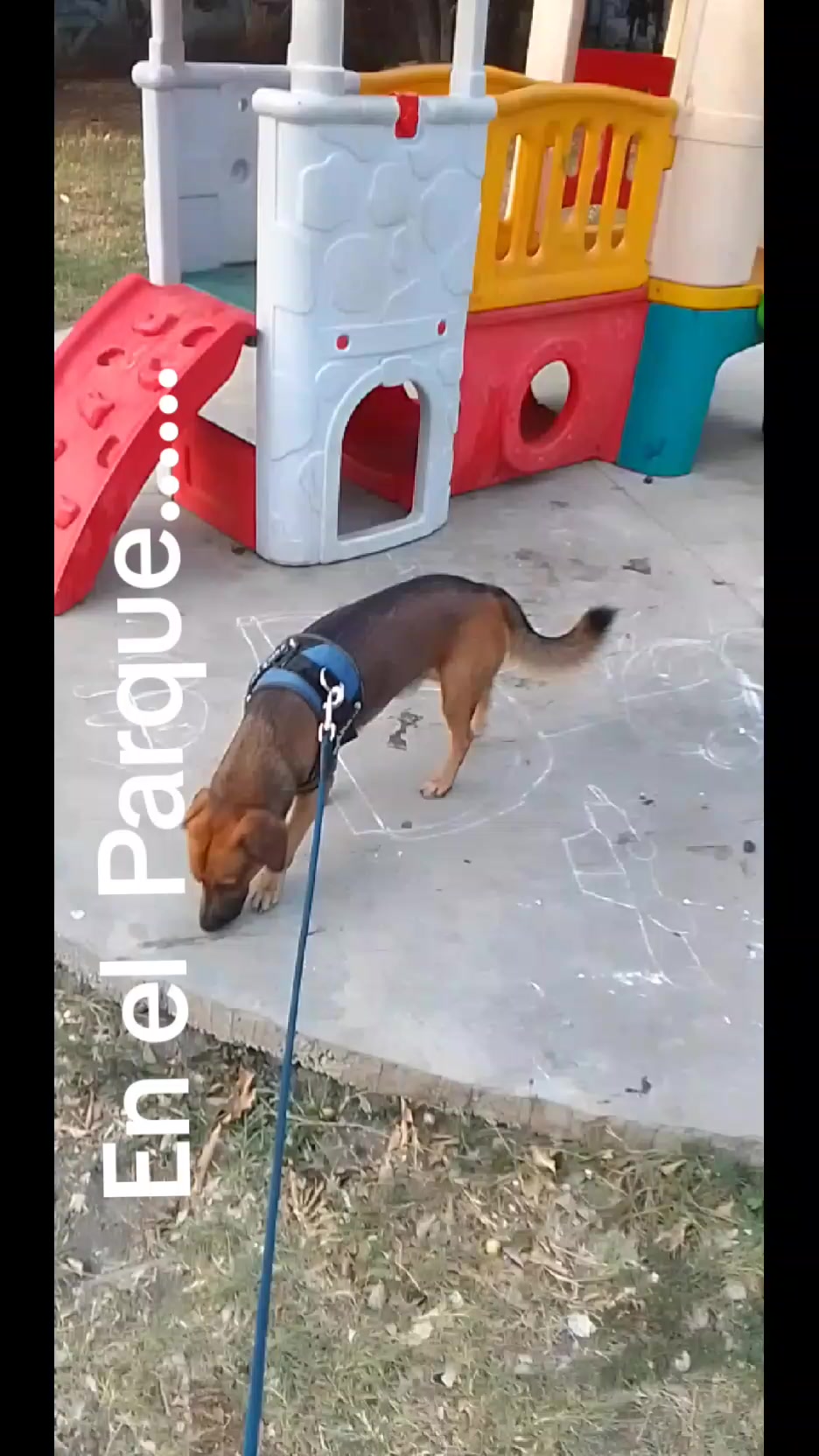 @Bendecido GÓMEZ...
