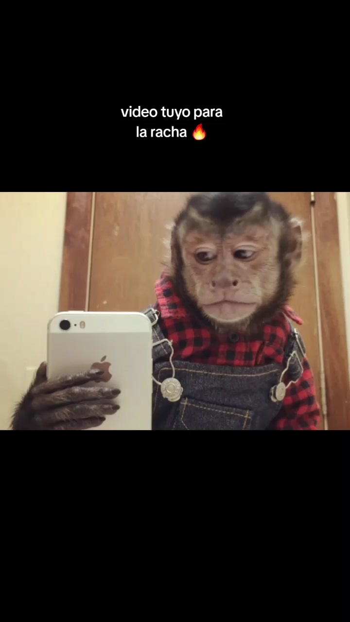 @RabPesito 🔥