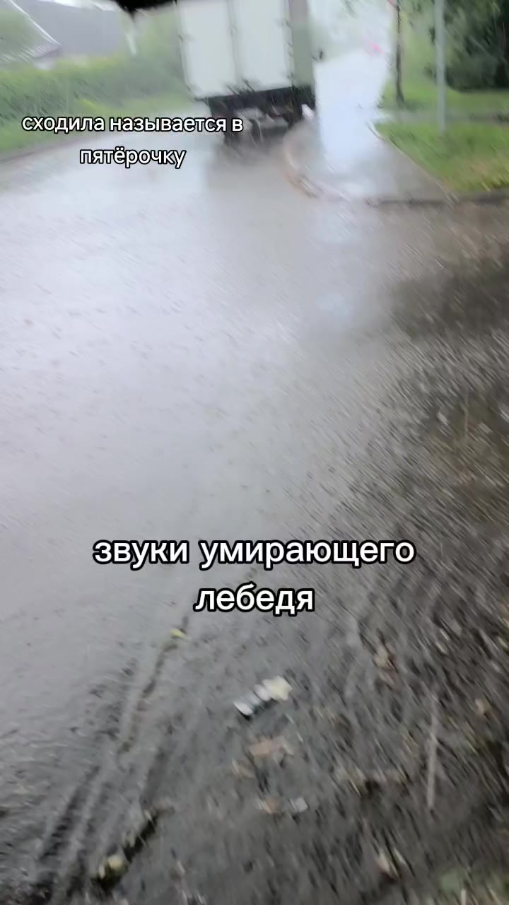@foxiik