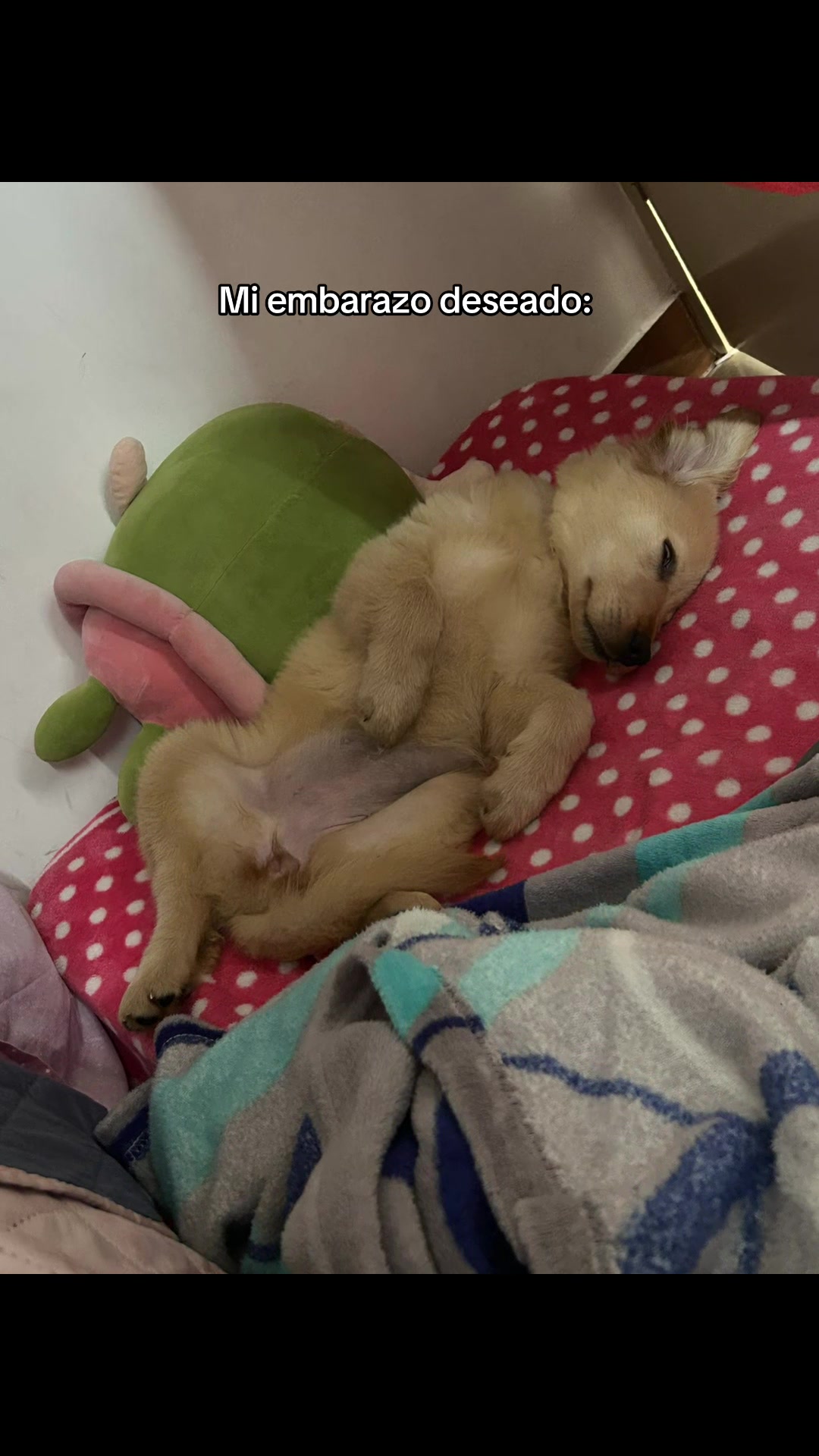 @𝐕𝐢𝐜𝐤𝐲 ᴴᵒᵗ