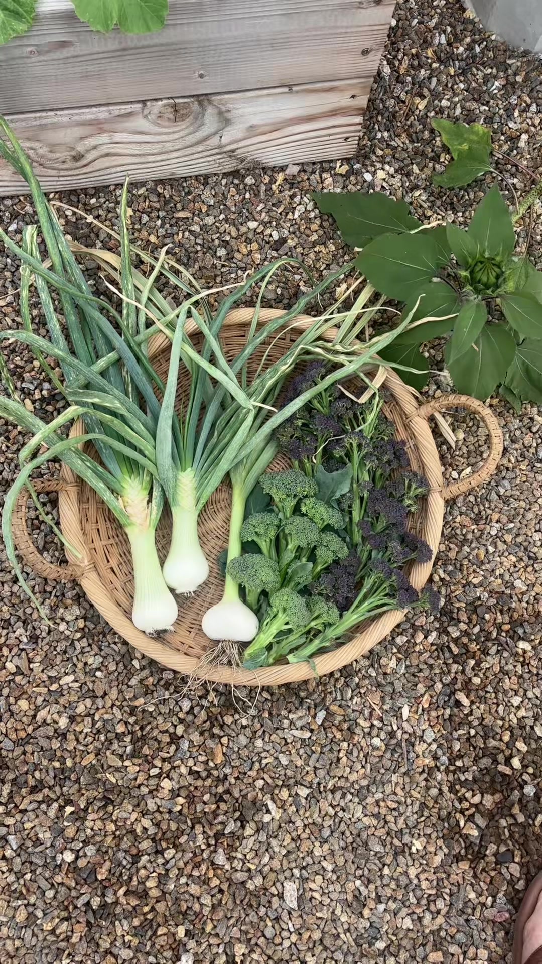 @earthboundgardening
