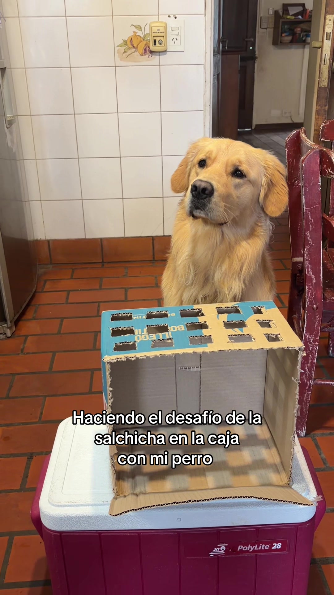 @Narco🐕🐾🐾