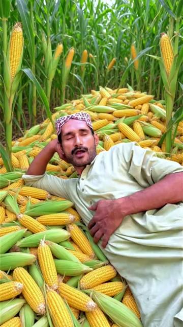 @Team Saifulla