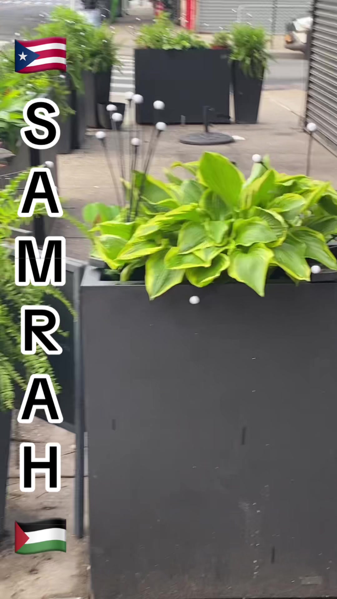 @Samrah888