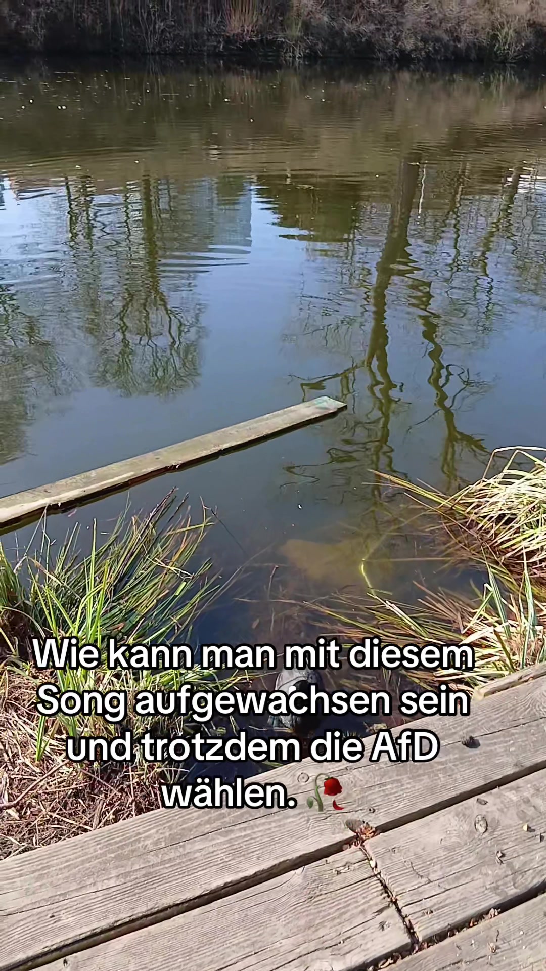 @C&auml;cilia_5