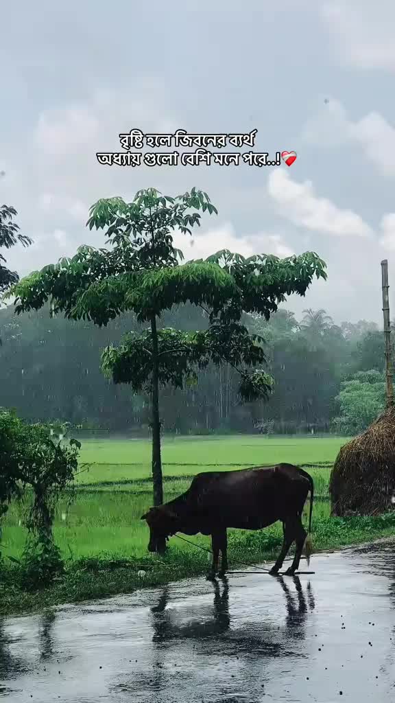 @⚡ ANANTA ...🕷️