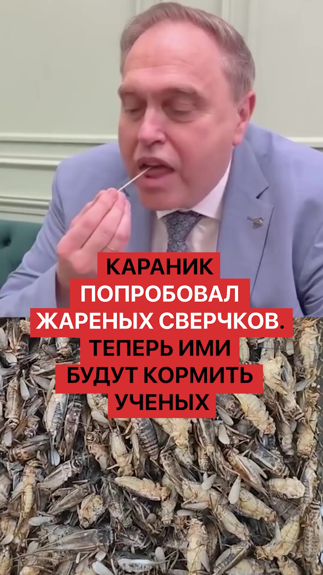 @belarusnovosti2