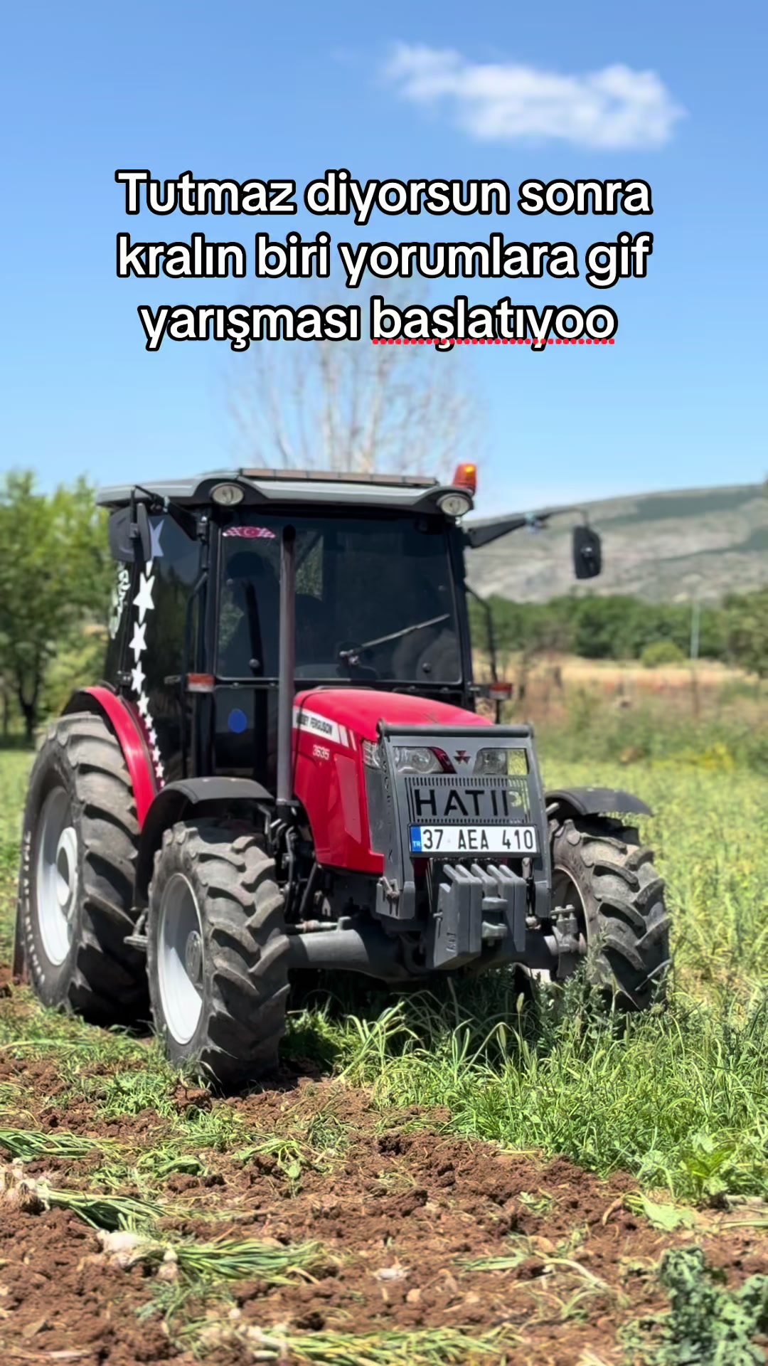 @Yiğit Şenol