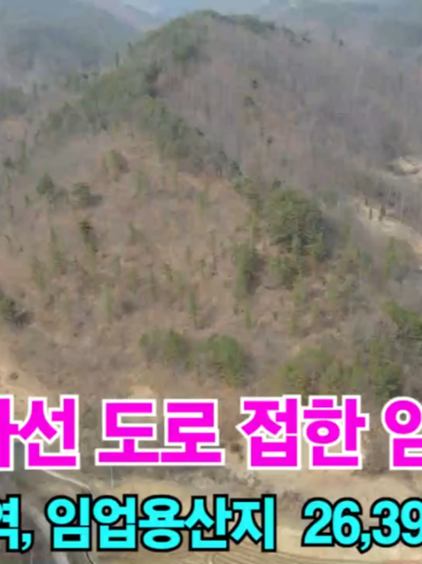 @민랜드부동산
