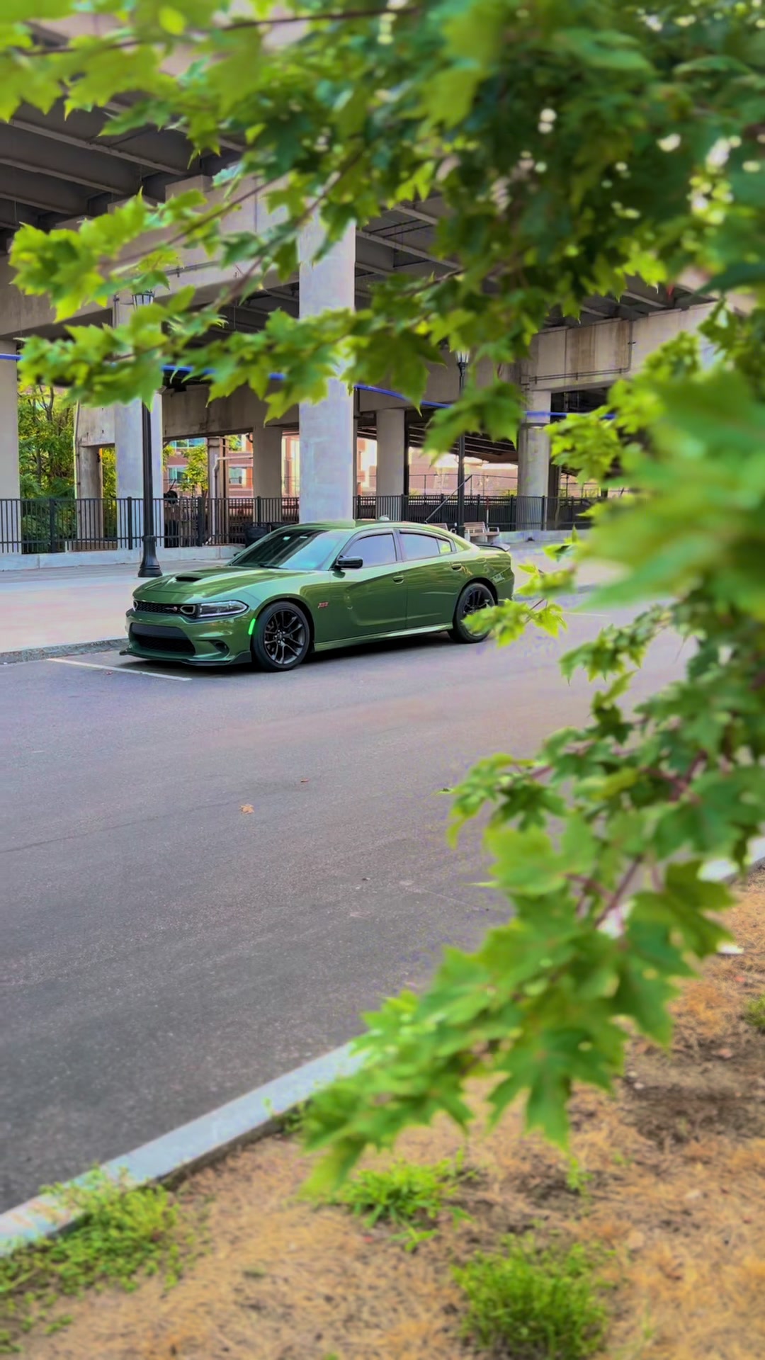 @392Predator | Automotive Media